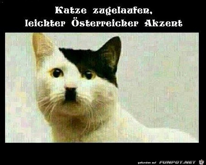 Akzent Akzent
