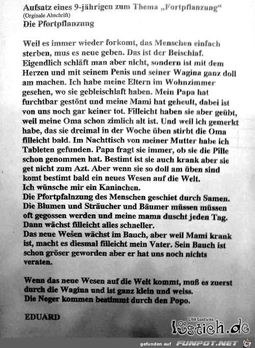 Aufsatz-eines-Schuelers Aufsatz-eines-Schuelers