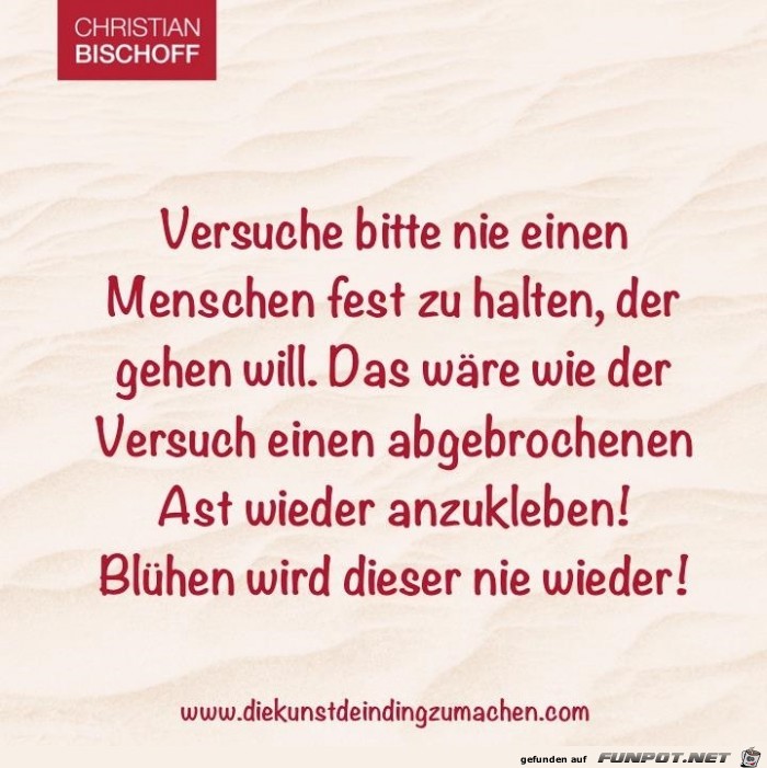 Versuche nie