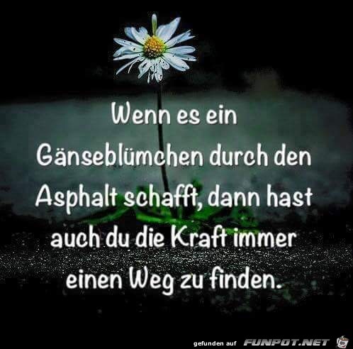 wenn es ein Gaensebluemlein wenn es ein Gaensebluemlein