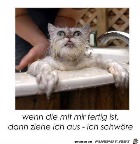 ich schwoere ich schwoere