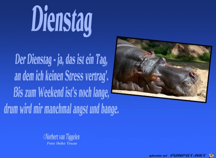 02dienstaghtowae 02dienstaghtowae