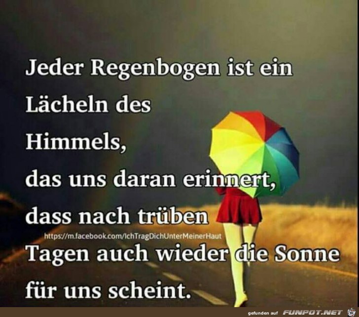 Regenbogen