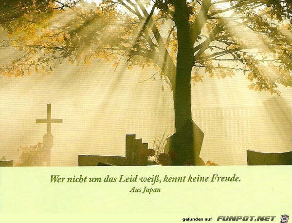 wer nicht um das leid weiss wer nicht um das leid weiss