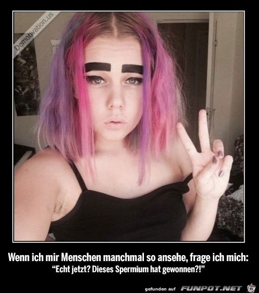 witzige Bilder aus verschiedenen Blogs