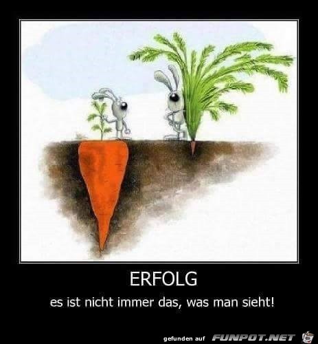 erfolg erfolg