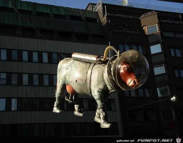 image044 image044