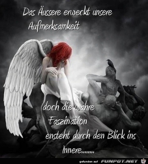 das aeaeussere das aeaeussere