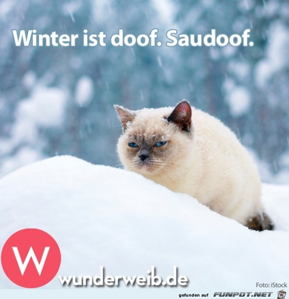 Winter ist doof