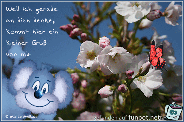 Download Whatsapp sprueche denk an dich For iPhone Free Whatsapp Sprueche Denk An Dich