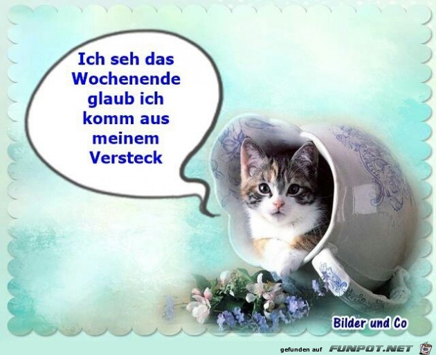 versteck versteck