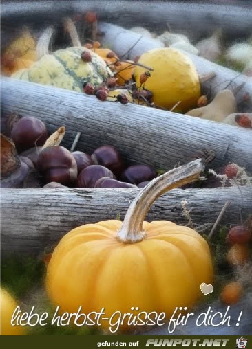 herbst9 herbst9