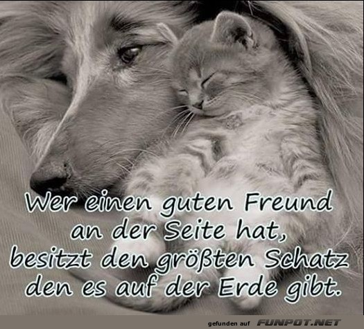 10 sch�ne Spr�che und Lebensweisheiten aus...