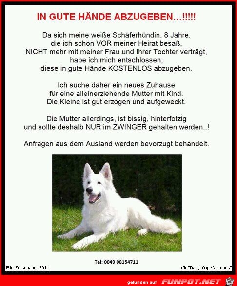 in gute Hände abzugeben in gute Hände abzugeben