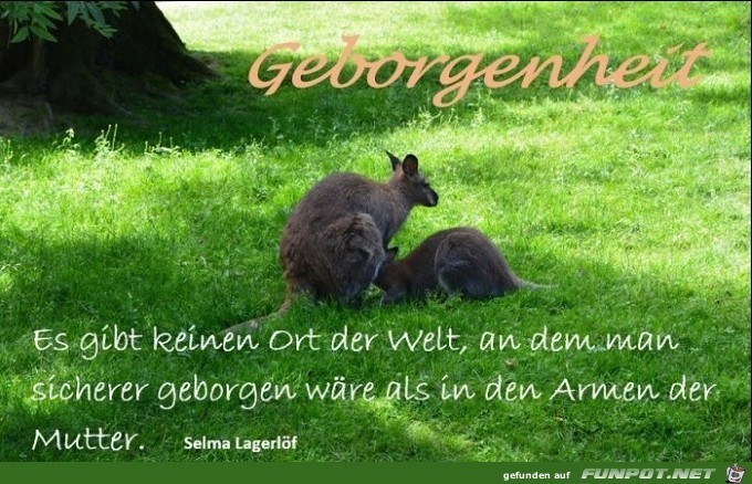 Geborgenheit