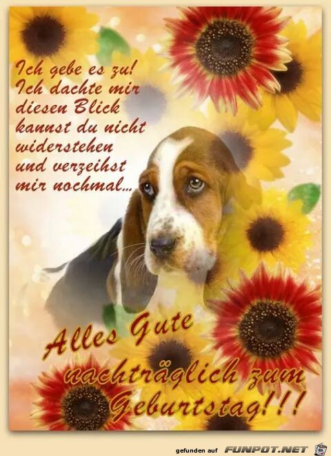 ich gebe es zu ich gebe es zu