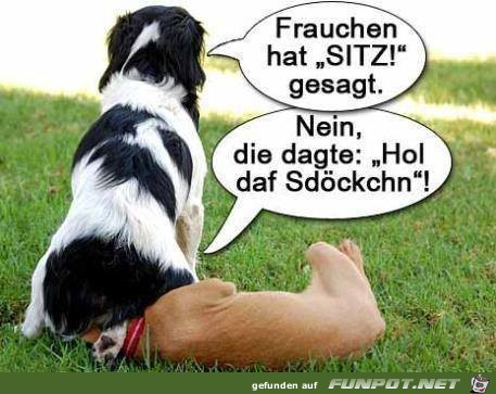 Sitz Sitz