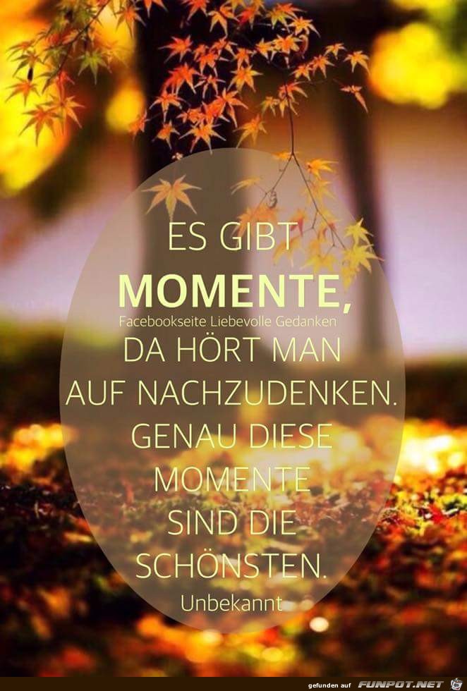 es gibt Momente