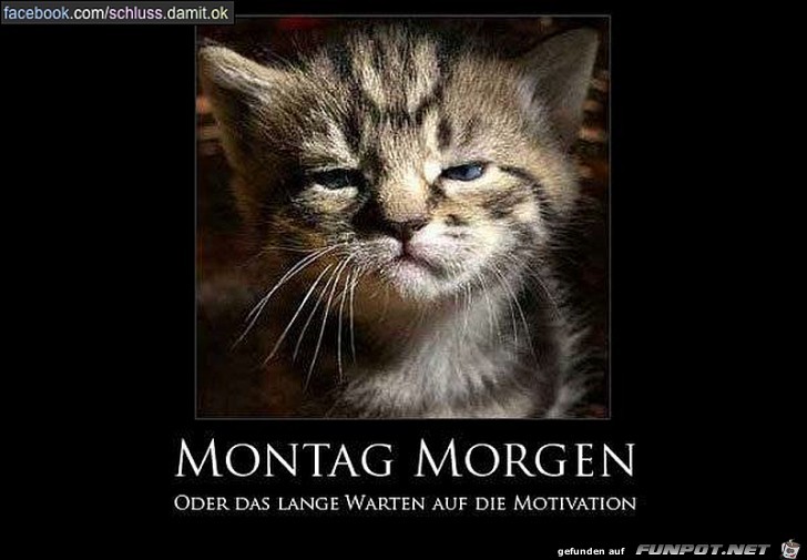 Montag Morgen