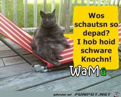 Schware Knochn