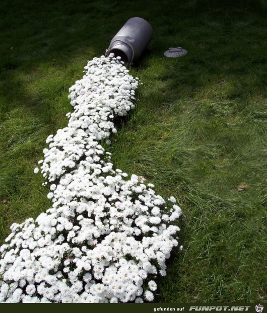 Spezielle Gartenkunst 1 Spezielle Gartenkunst 1