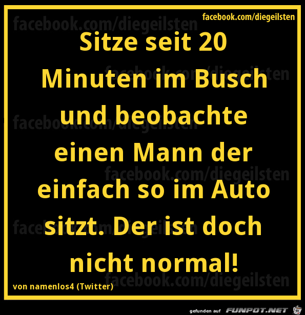 diegeilsten Beobachtung diegeilsten Beobachtung
