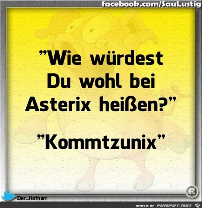 Asterix Asterix