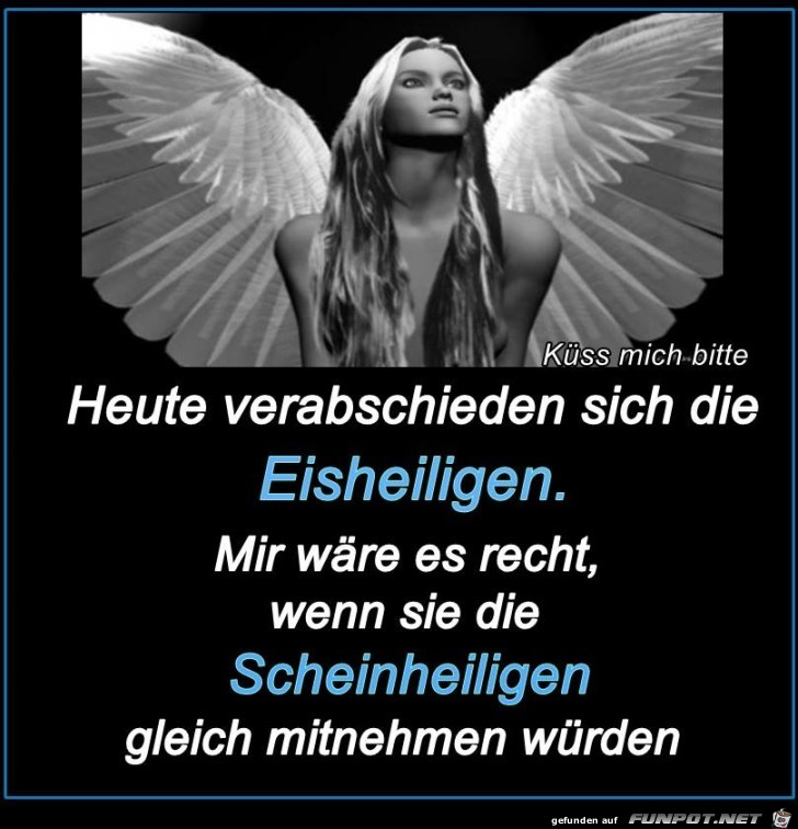 heiligen heiligen
