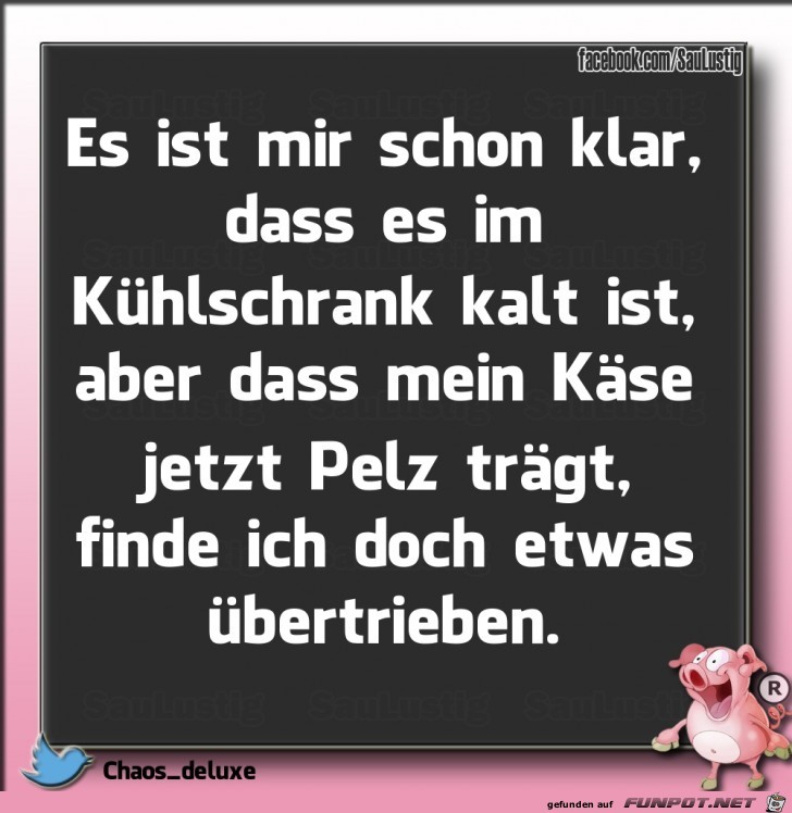 Es ist kalt im Kühlschrank Es ist kalt im Kühlschrank