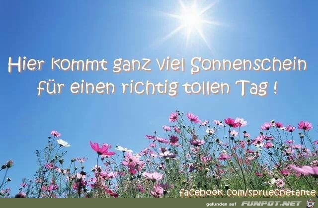 toller tag
