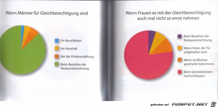 Weltgrafiken100 Gleichberechtigung