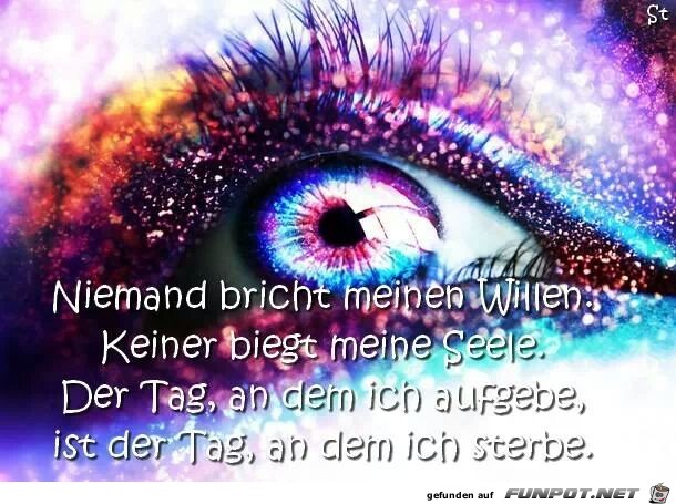 Niemand bricht meinen Willen... Niemand bricht meinen Willen...