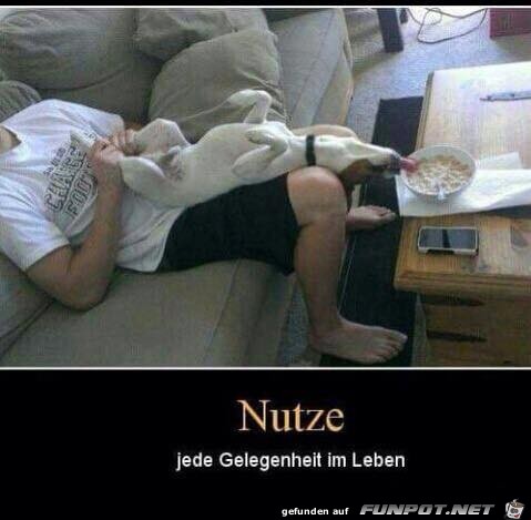 Gelegenheit Gelegenheit