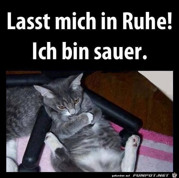 lass-mich-in-ruhe-ich-bin-sauer lass-mich-in-ruhe-ich-bin-sauer