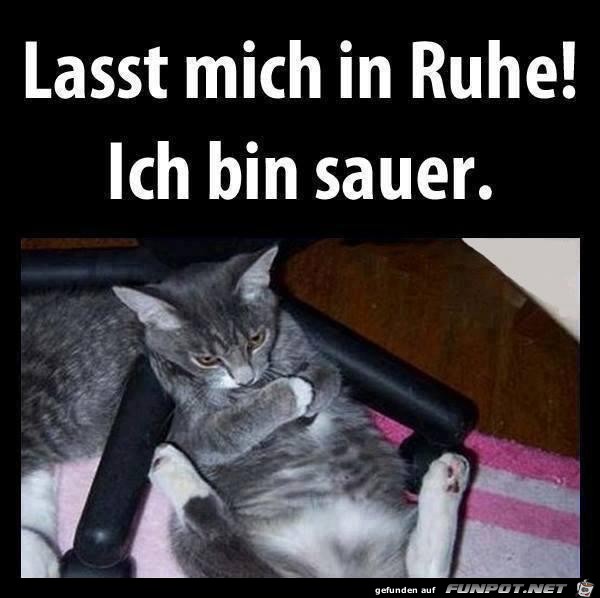 lass-mich-in-ruhe-ich-bin-sauer