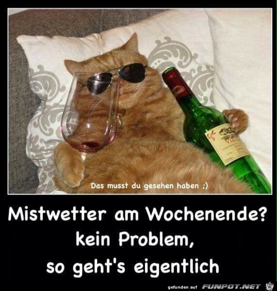mistwetter mistwetter