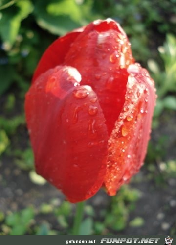 DSC00353 DSC00353