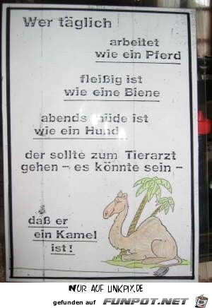 wer taeaeglich wer taeaeglich
