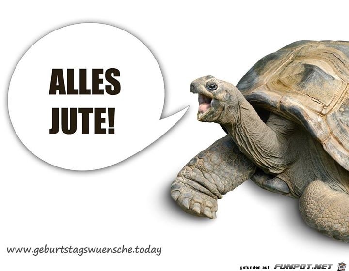 alles Jute alles Jute
