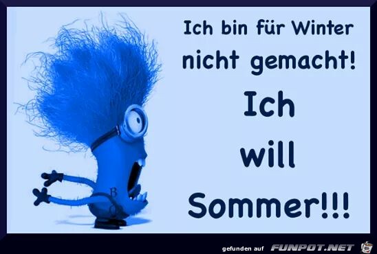 ich will sommer ich will sommer