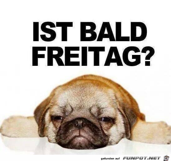 Freitag