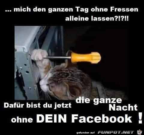 ohne ohne