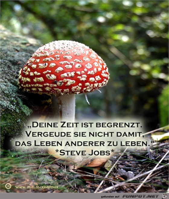 Begrenzte Zeit