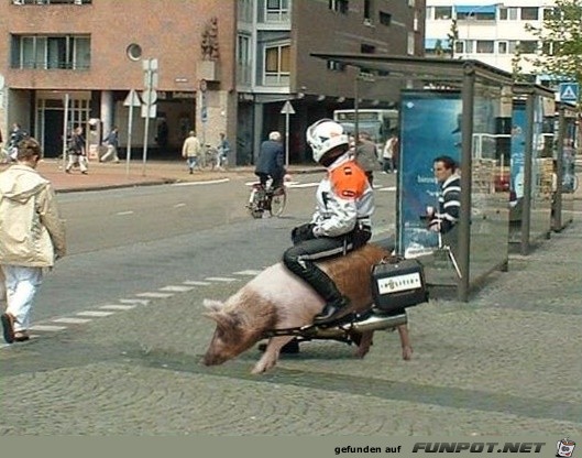 mopetschwein mopetschwein