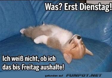 Erst Dienstag