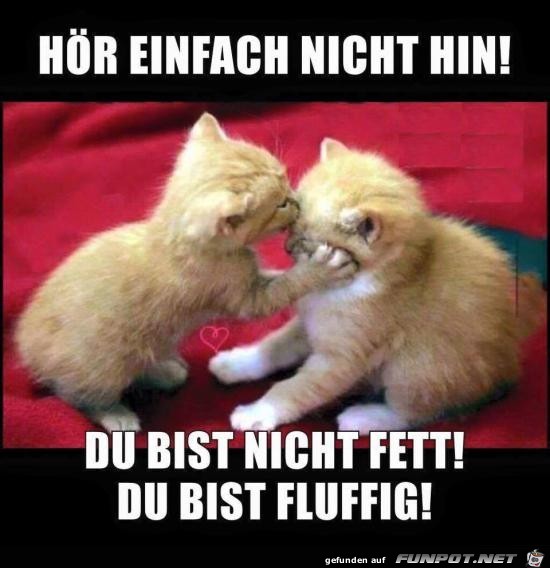 Hoer einfach nicht hin Hoer einfach nicht hin