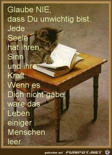 Glaube nie Glaube nie