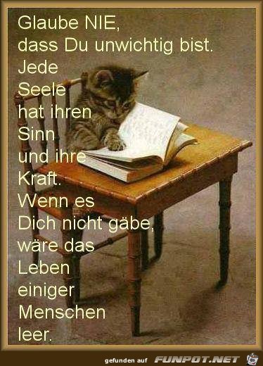 Glaube nie