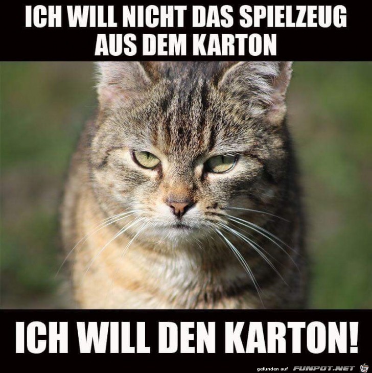 ich will ich will