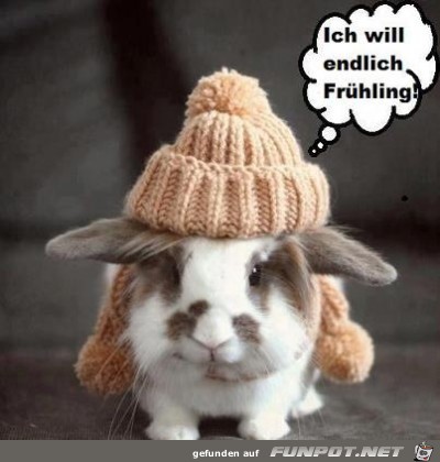 Frühling Frühling